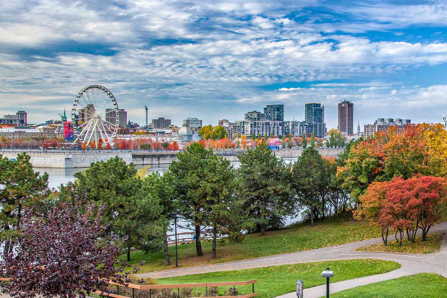 International Conference on Technology and Analysis of Seizures (ICTALS)