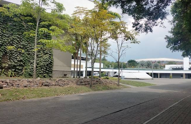 XVII Congreso Colobmbiano de Neurologia